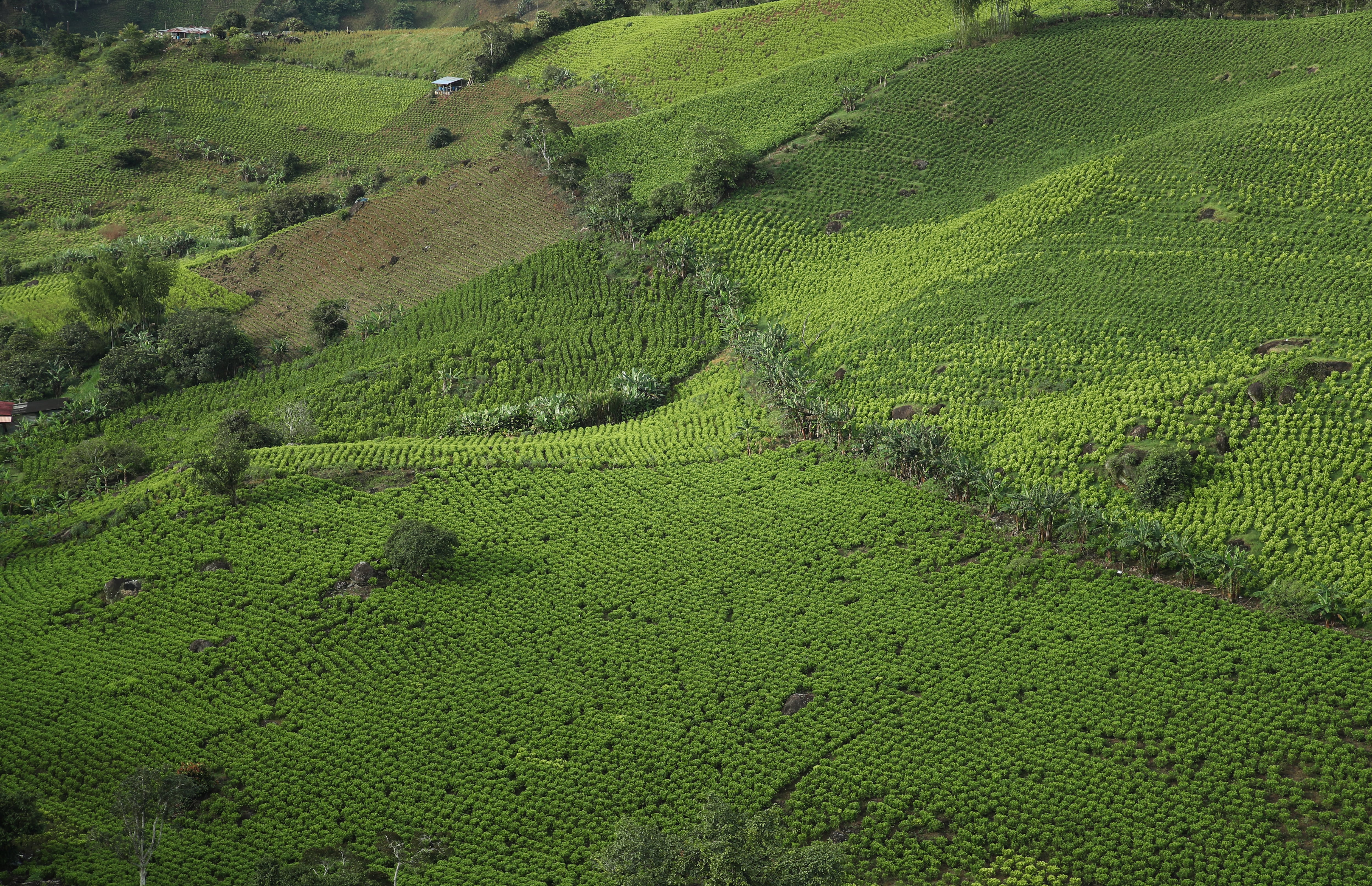 Informe especial El Plateado Semana