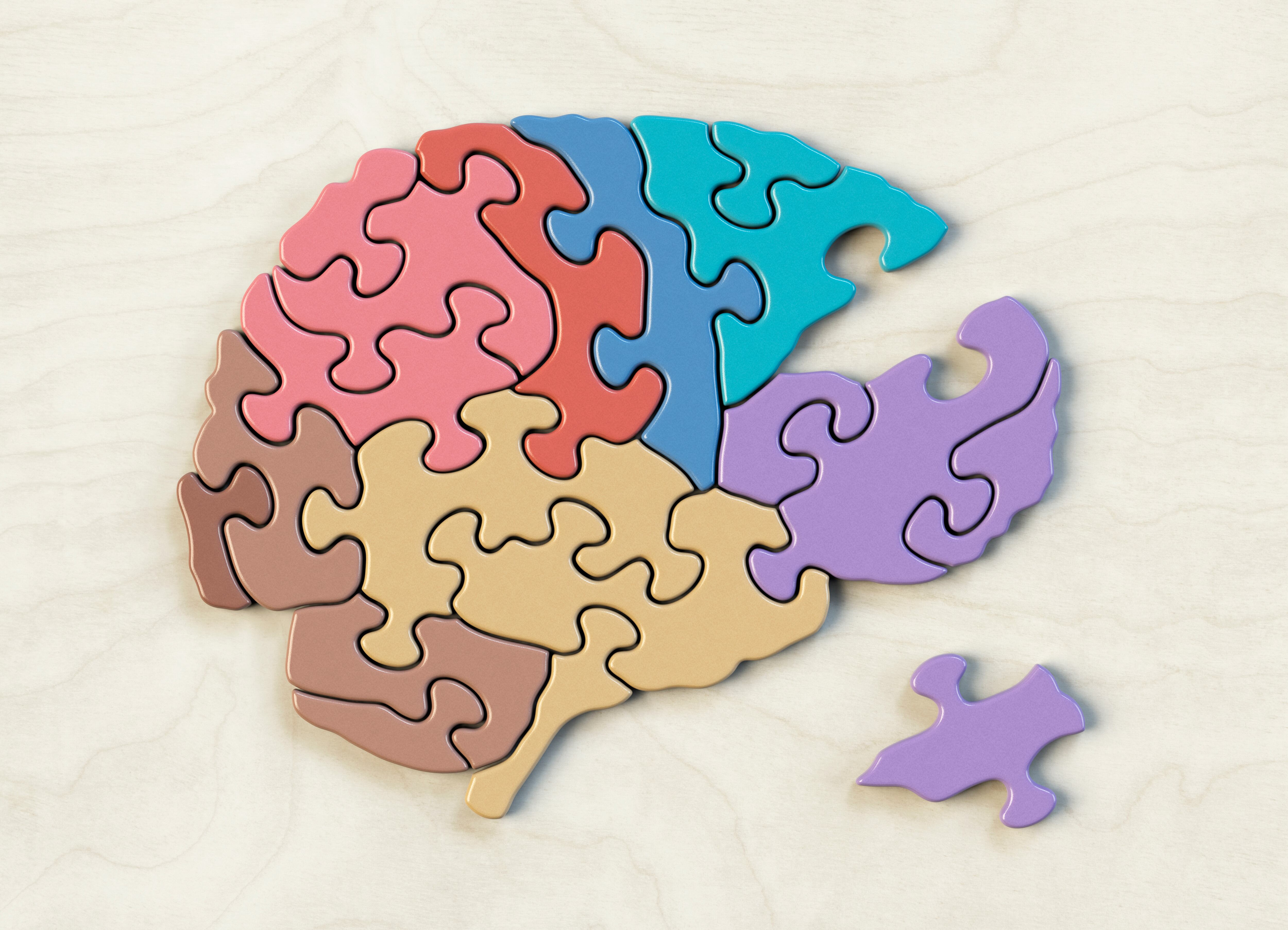 El cerebro es el motor del cuerpo humano.