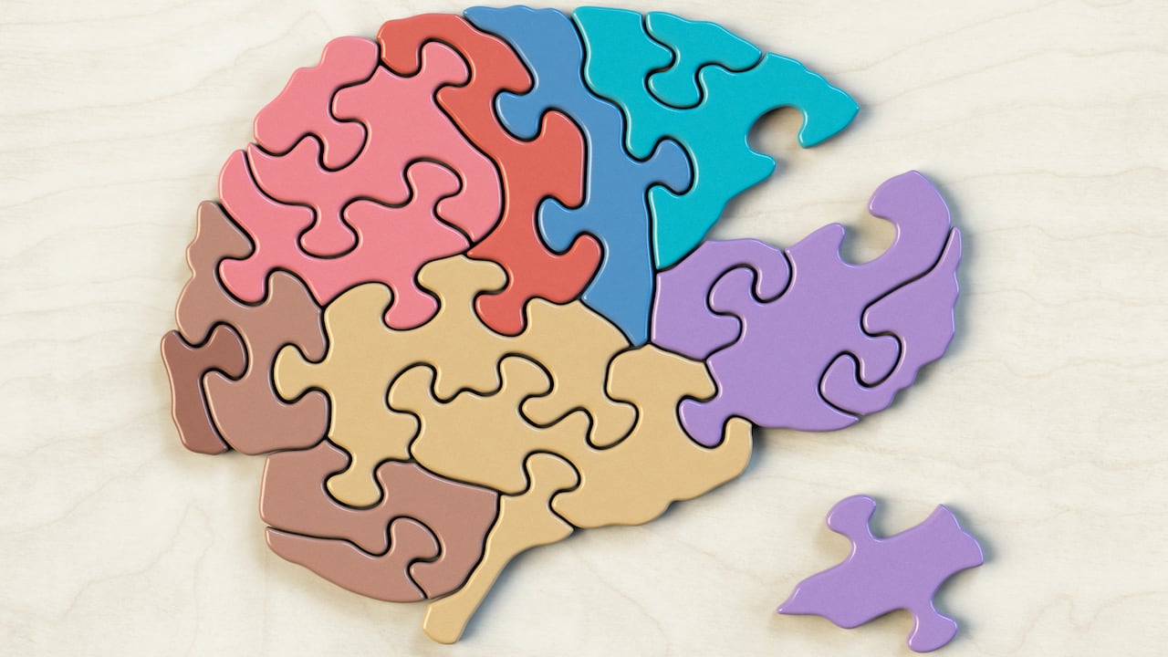 El cerebro es el motor del cuerpo humano.