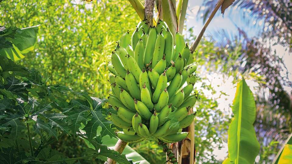 Desde la administración municipal se ejecutan proyectos de infraestructura que han contribuido considerablemente a la generación de empleos directos.