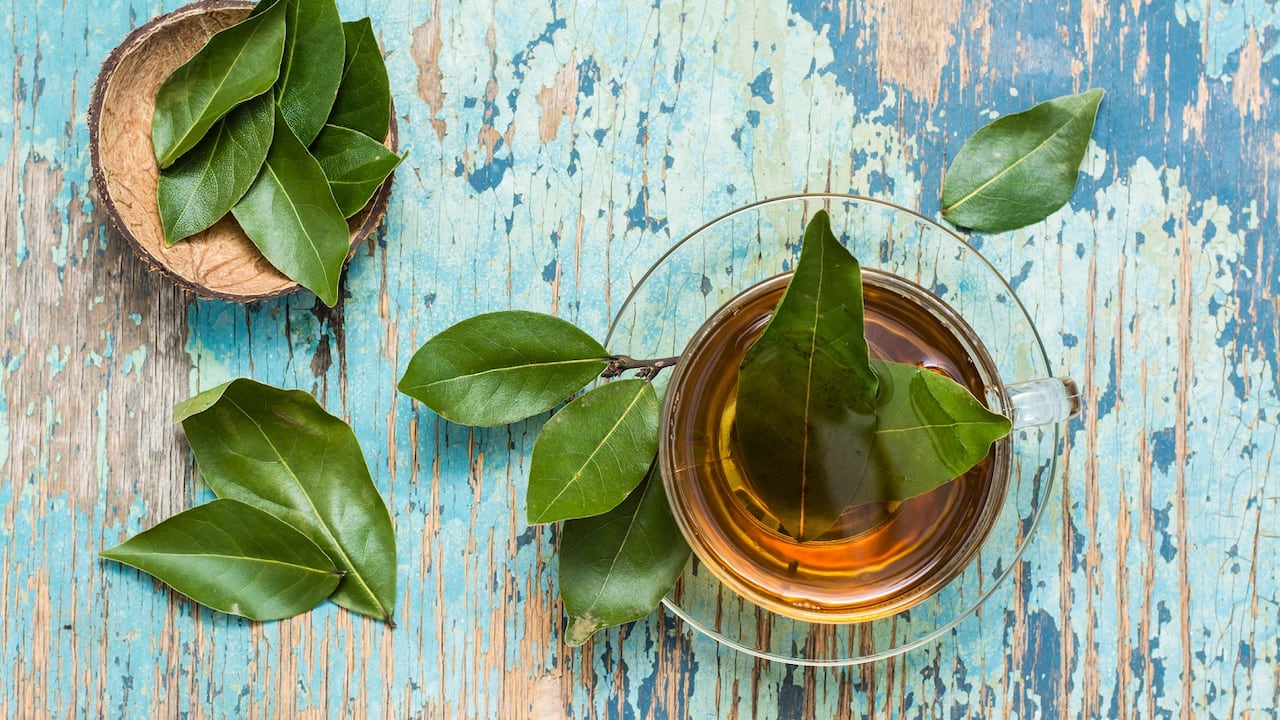 Infusión de hojas de laurel