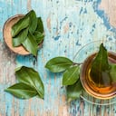 La infusión de hojas de laurel tiene múltiples beneficios.