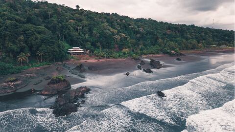 NO USAR, USO EXCLUSIVO MEJOR COLOMBIA, Especial reactivación aérea, aviación, Pacífica