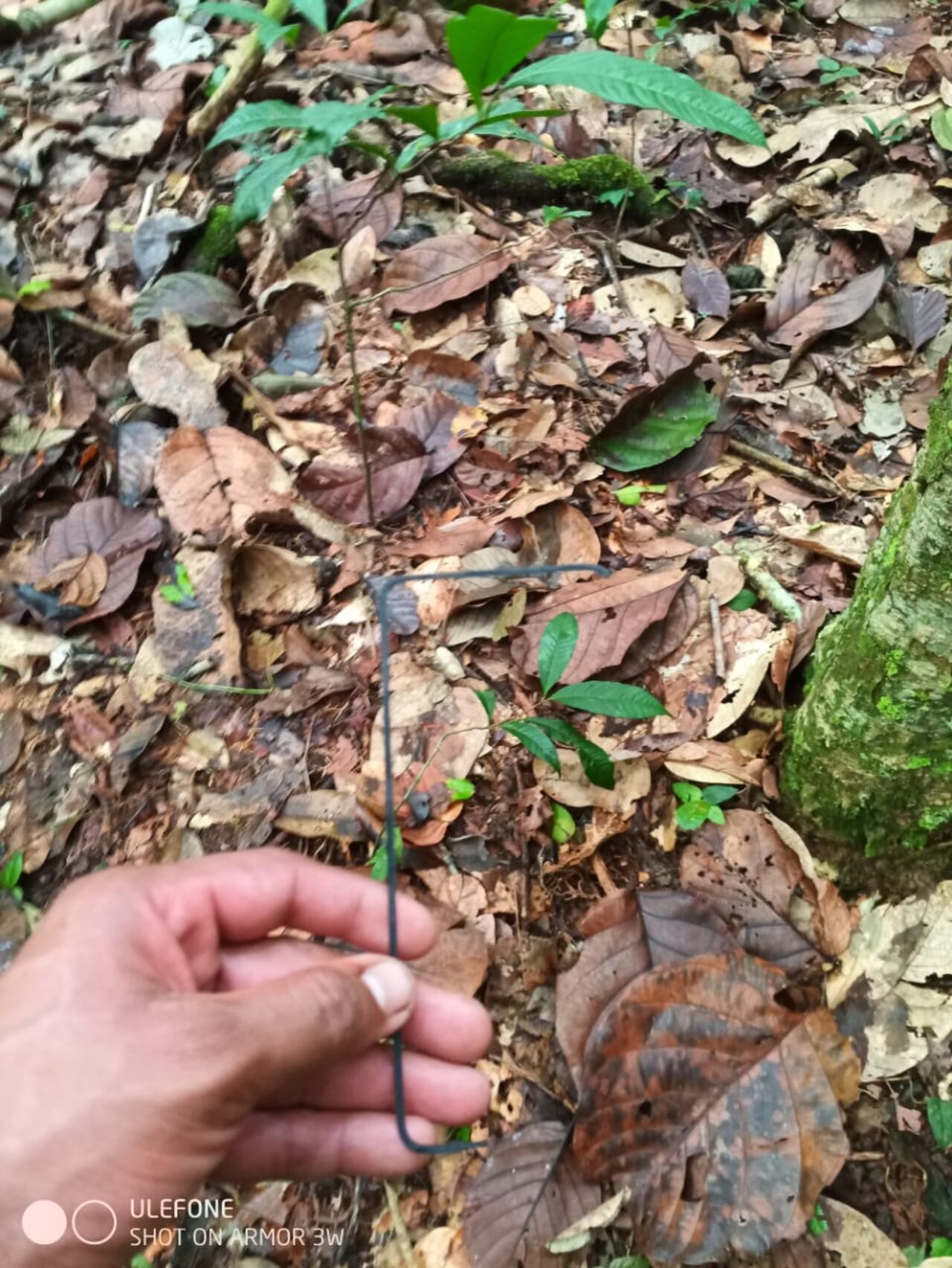 Las Fuerzas Militares y los indígenas no encontraron rastros de sangre