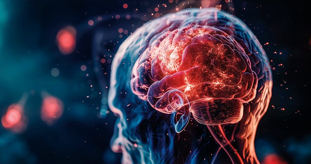 Un hallazgo en Málaga señala que una hormona natural protege las neuronas del Parkinson.