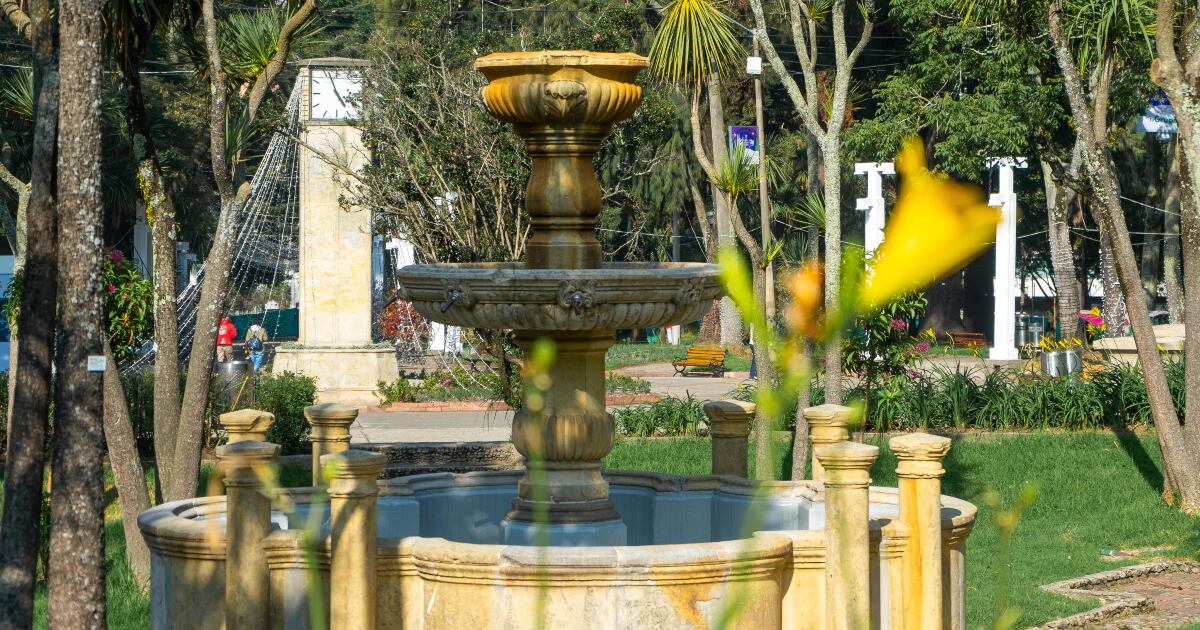 Se instalaron más de 155 nuevos ejemplares de árboles autóctonos, siguiendo el plan de diseño del parque.