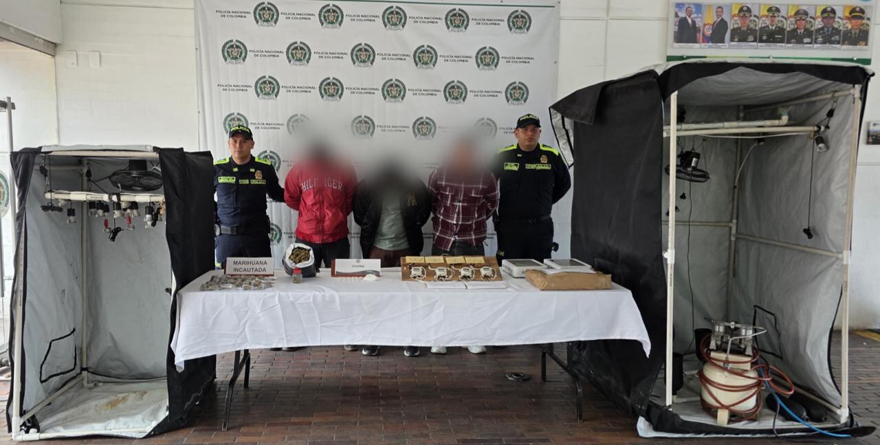 Descubren un cultivo hidropónico que producía mensualmente hasta 50 kilos de marihuana en una casa de Bogotá.