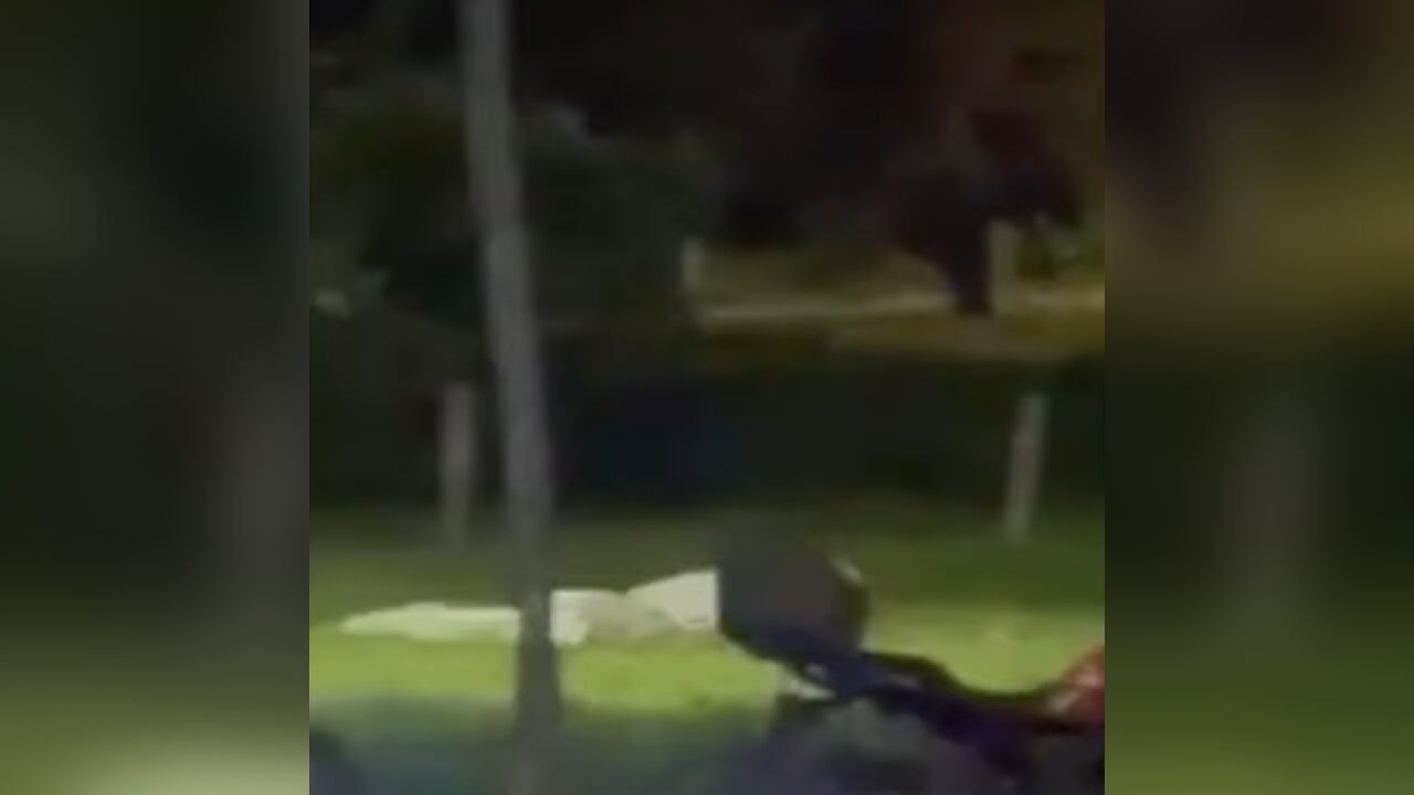 Por el momento se desconoce quién es la víctima.