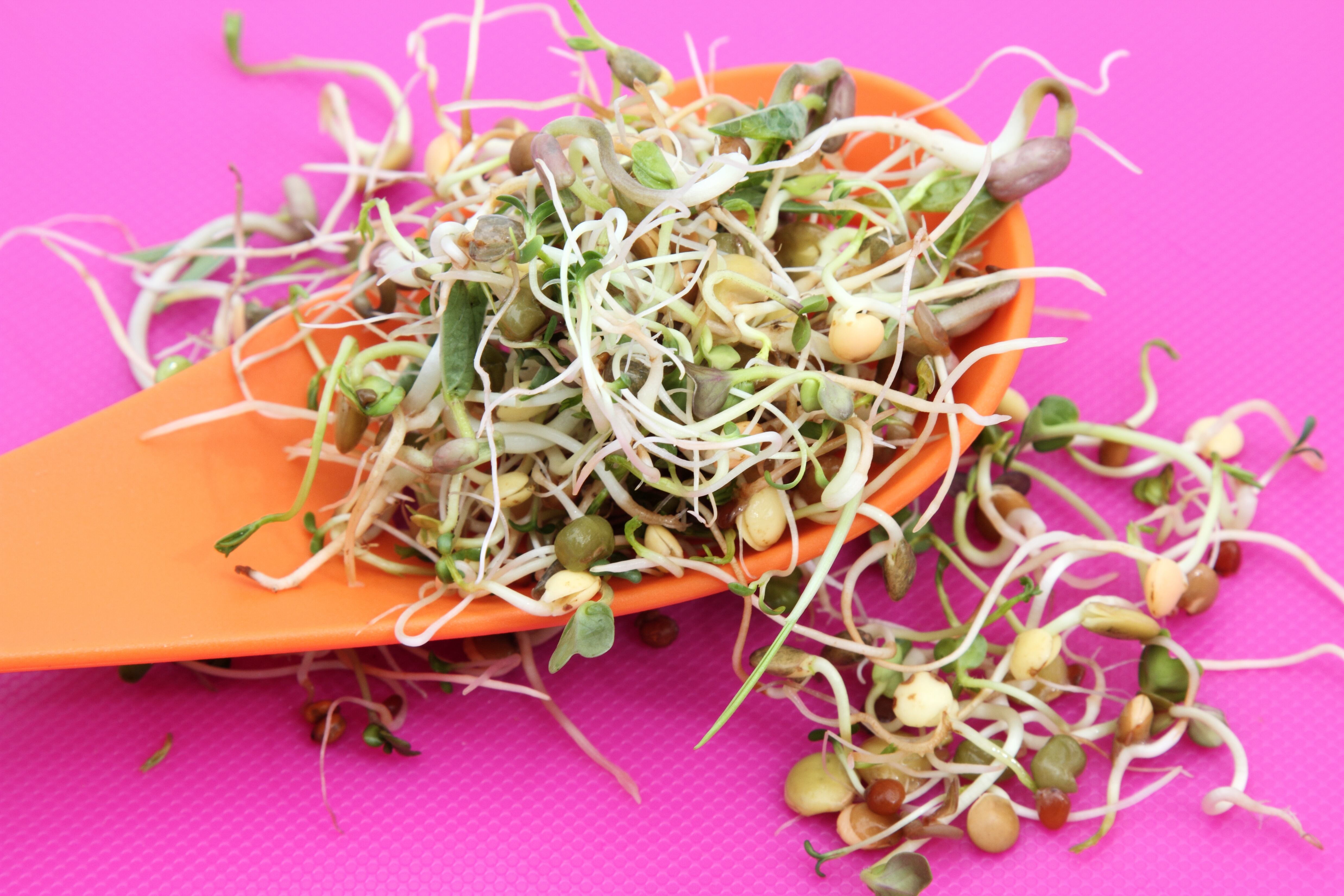 Las lentejas son alimentos con fibra.