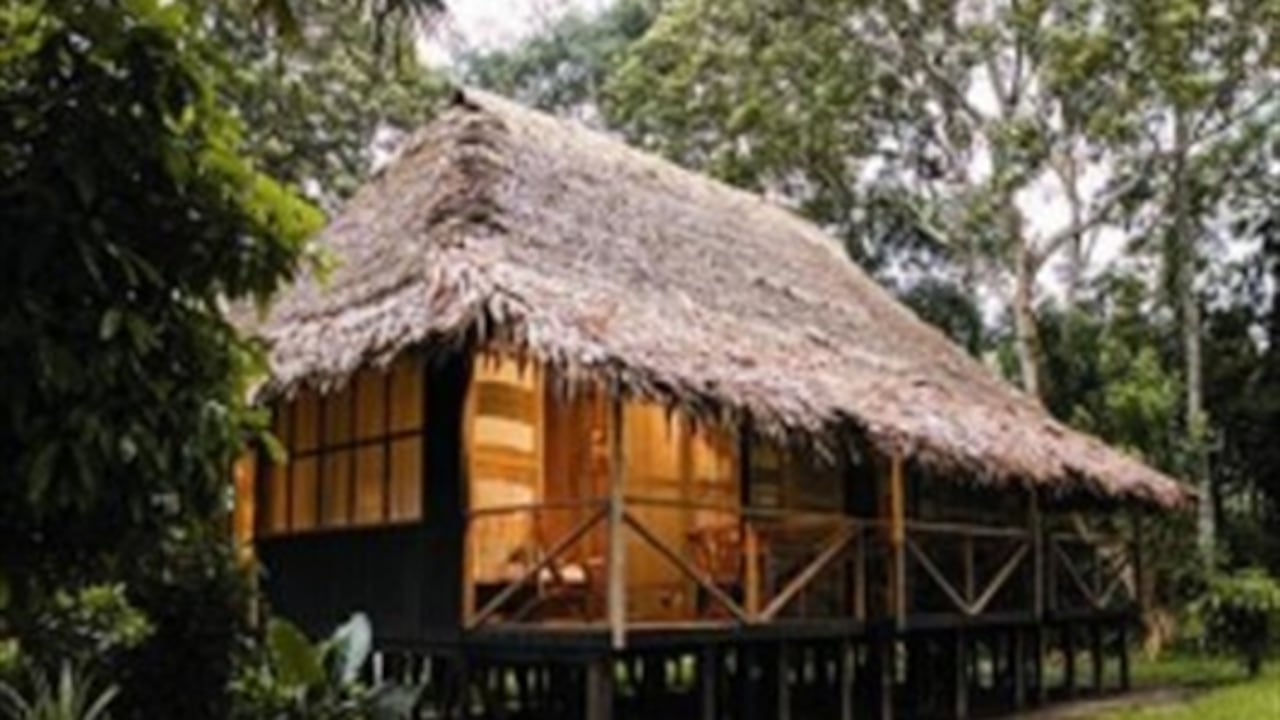 Debido a su exuberante vegetación selvática, la única manera de arribar a la zona del Amazona es a través de viajes aéreos.