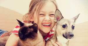 perros y gatos amor y amistad