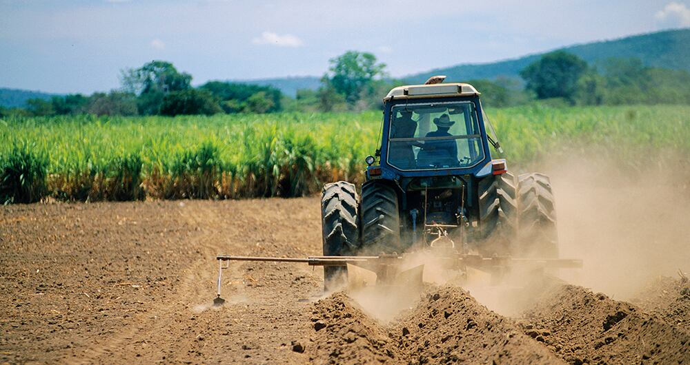 Se teme que el fenómeno de El Niño tenga un impacto negativo en el agro. 