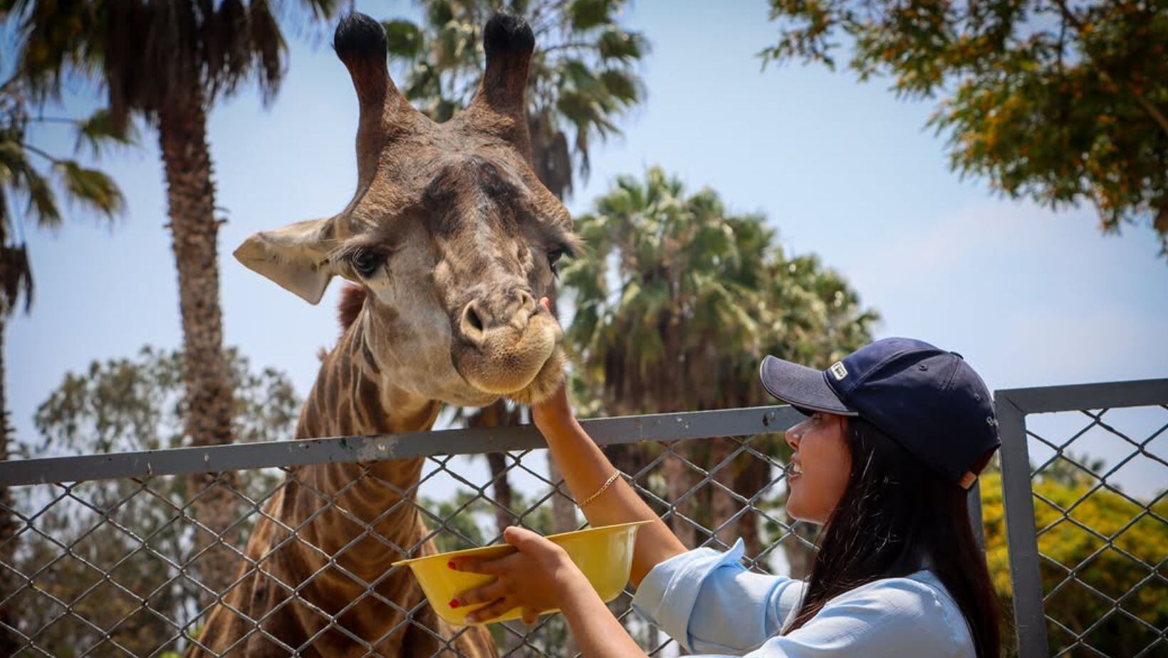 Parque de Las Leyendas en Perú: ¿quiénes pueden ingresar gratis durante todo el 2025?