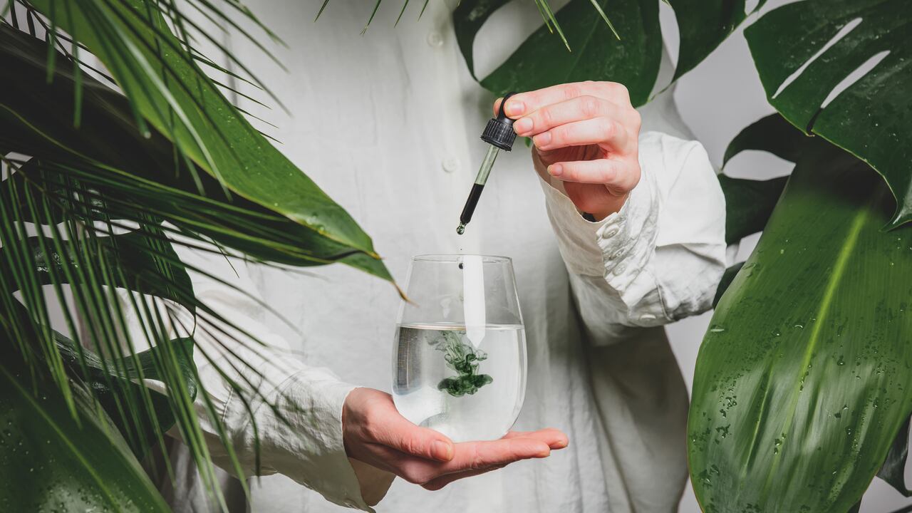 La clorofila esta compuesta de antioxidantes.