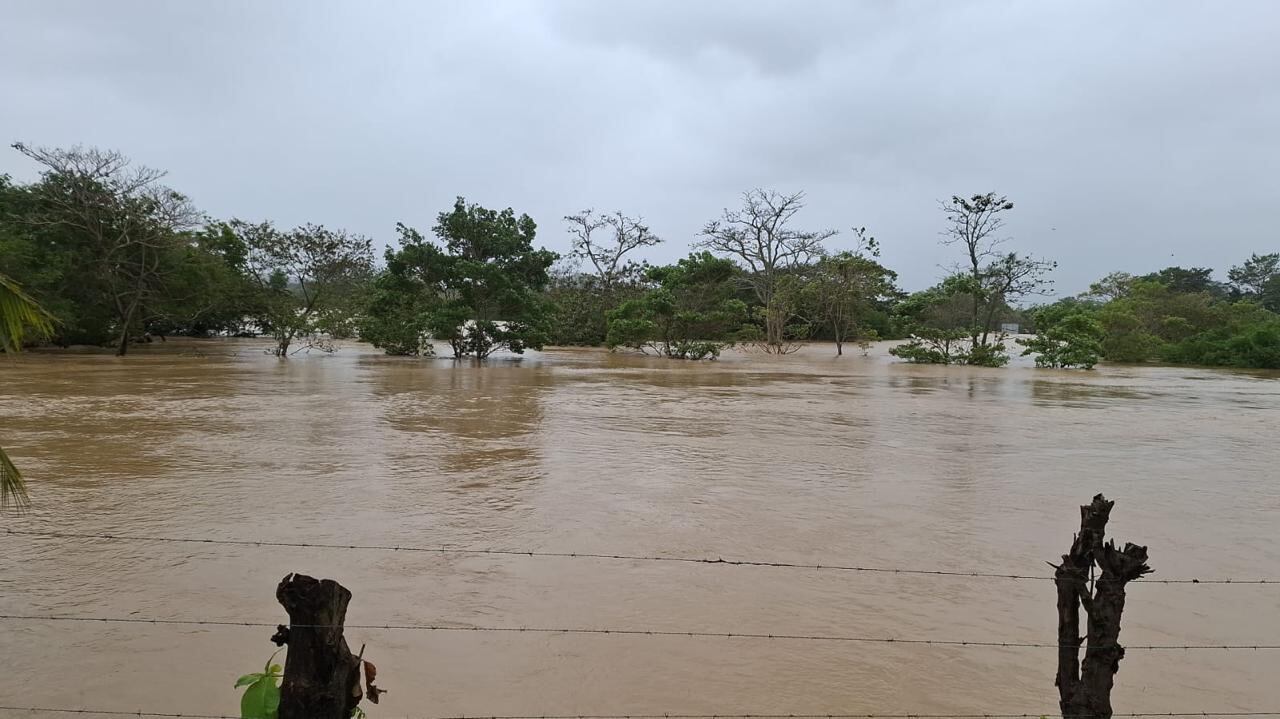 Muchos de los cultivos en el departamento fueron afectados por las inundaciones.