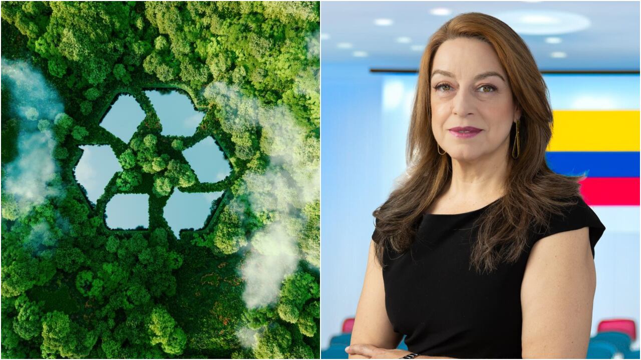 Sandra Fonseca, experta en energía