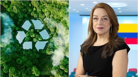 Sandra Fonseca, experta en energía