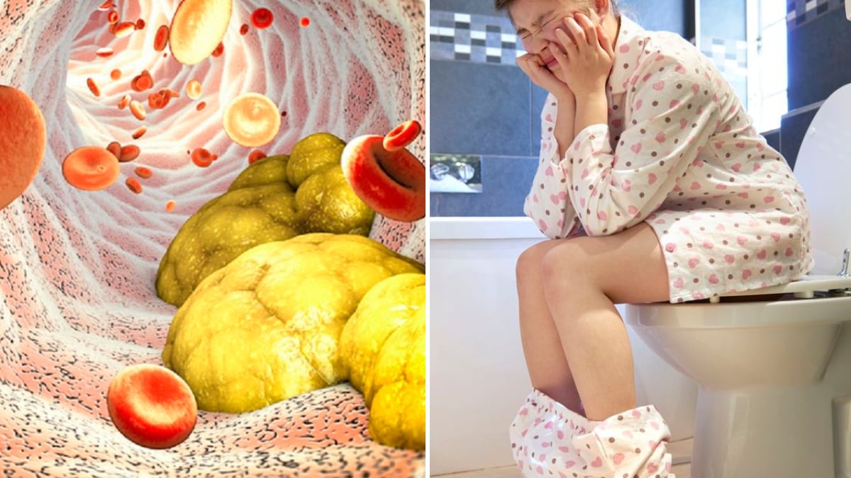 Este alimento es rico en omega-3 porque reduce el colesterol t combate el estreñimiento.