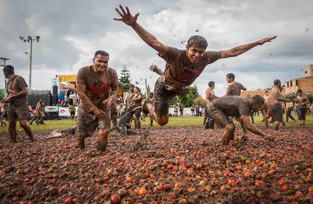 Guerra de tomates, undécima gran tomatina  colombiana , realizada en  el municipio de Sutamarchán, Boyacá
