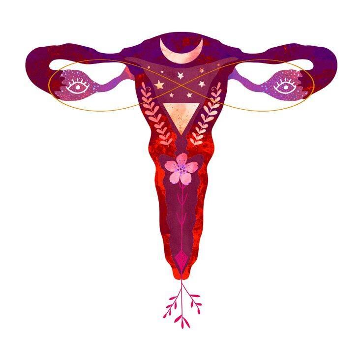 Algunos síntomas de la endometriosis son dolor durante las relaciones sexuales, dolor intestinal, periodos menstruales con sangrados fuertes, sangrado premenstrual e intermenstrual.