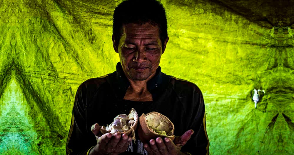 Con la recuperación de la paz y la protección de los derechos en los territorios, también llega la seguridad alimentaria para sus habitantes.