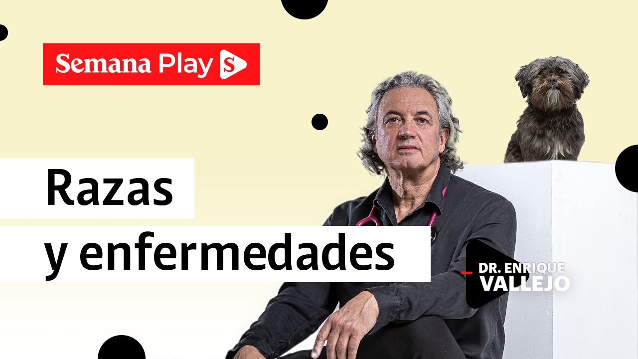 Razas y enfermedades | Enrique Vallejo en Salud Animal