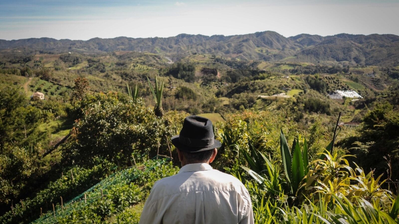 SEMANA RURAL habló con pescadores, productores de fique, paperos y representantes de la industria del pollo para conocer sus impresiones sobre el proyecto de ley presentado al Congreso.