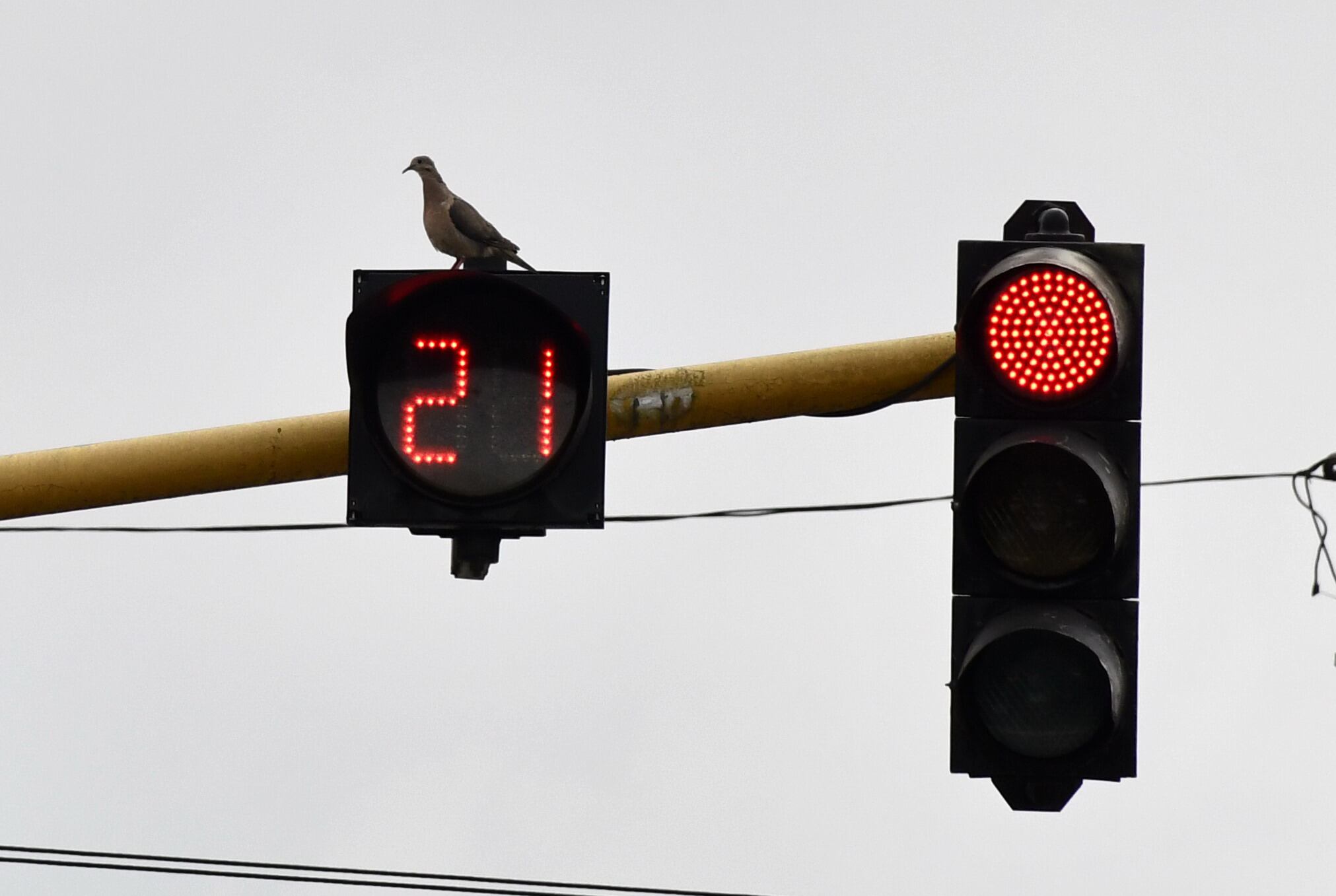 Cali: Semáforos nuevos  y viejos  sin funcionar y en mal estado son  uno de los mayores causantes del caos vehicular de la ciudad. foto José L Guzmán. El País