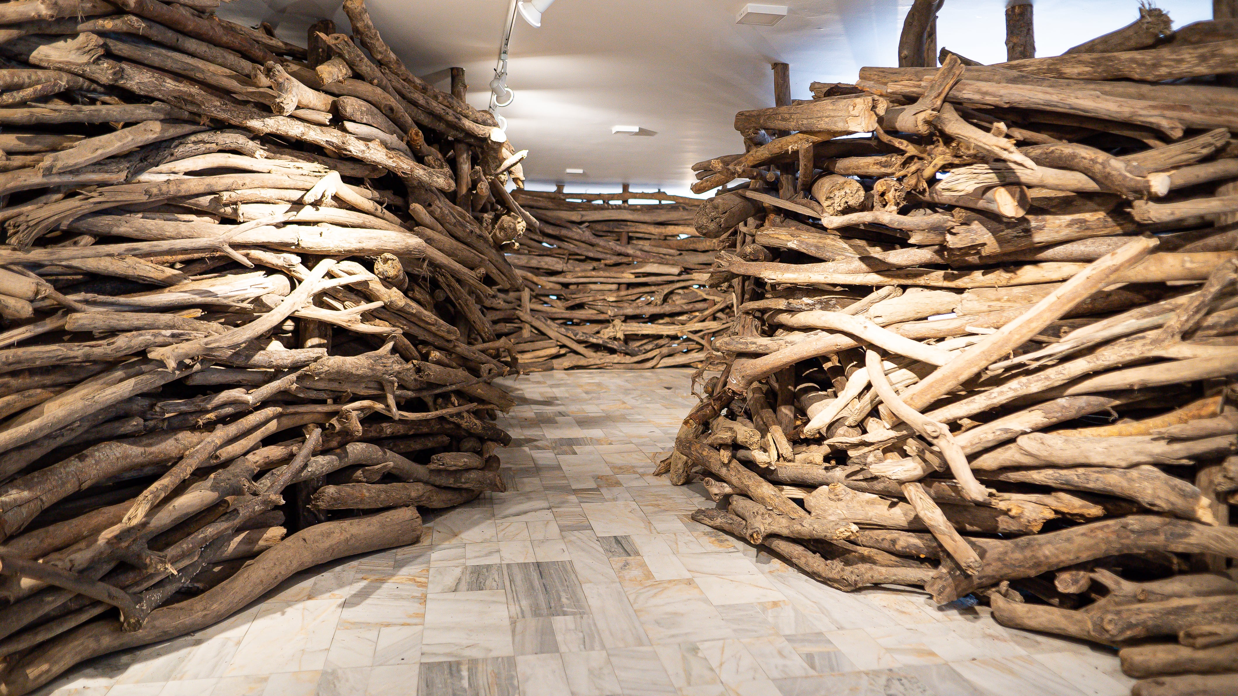 La exposición 'Arrastre', del santandereano Sebastián Gómez, explora las relaciones entre naturaleza, territorio y ancestralidad.