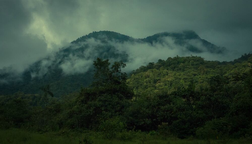 El segundo entierro de Alejandrino