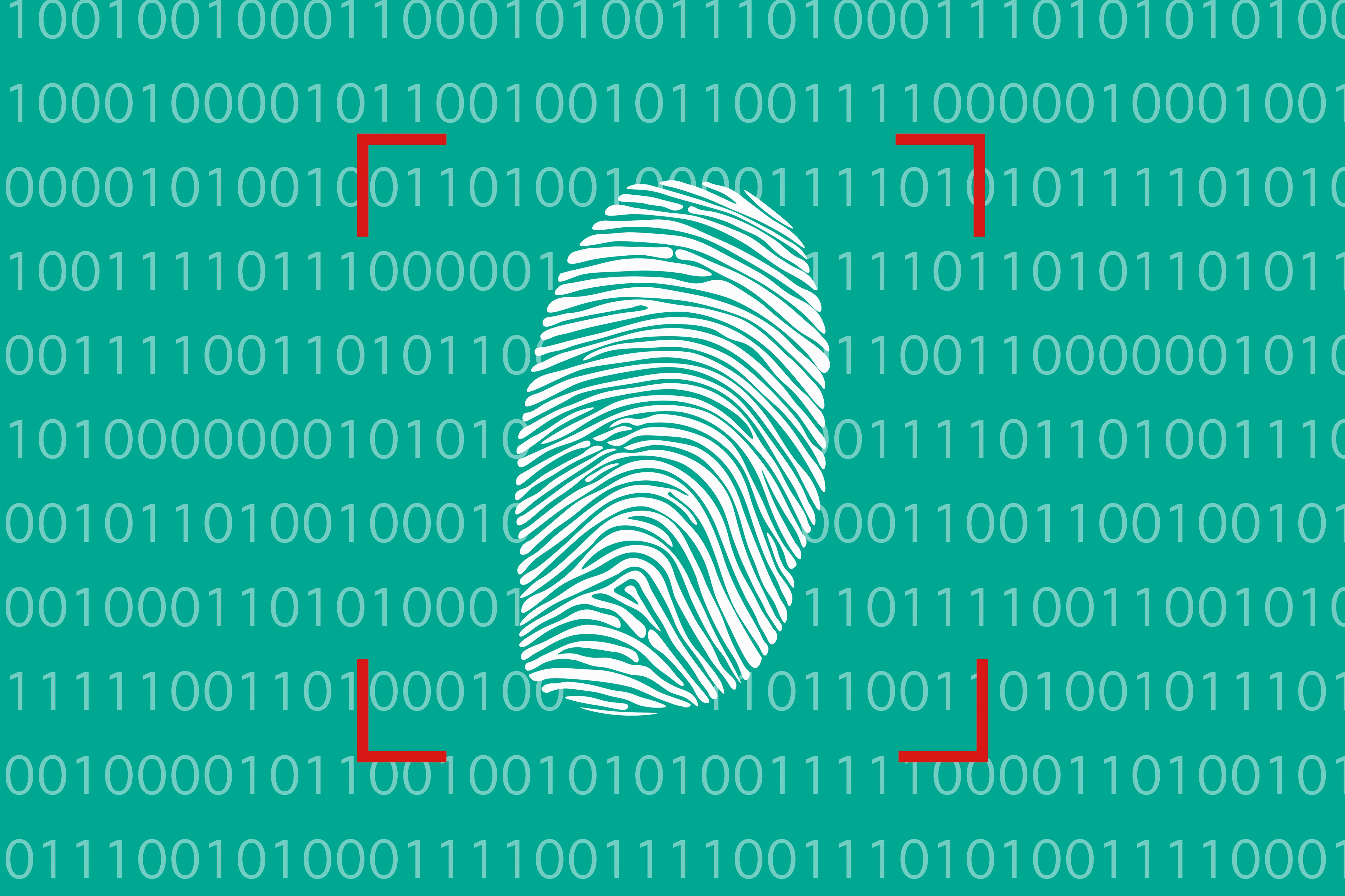 Las huellas dactilares forman parte de la vida cotidiana y se encuentran en las yemas de los dedos.