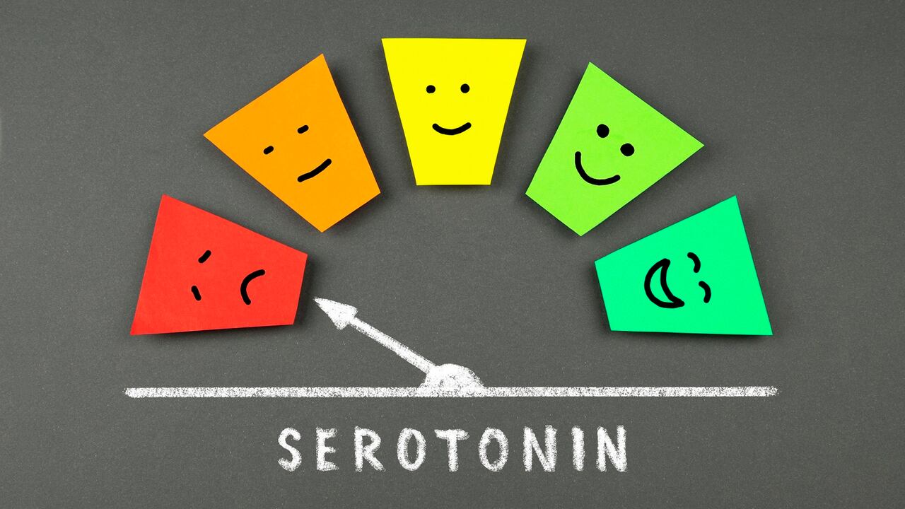 El nivel de serotonina puede generar diferentes estados de ánimo.