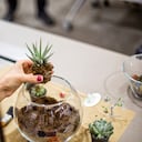 A medida que la humedad se convierte en un elemento clave, la gestión cuidadosa de este factor se vuelve esencial para proporcionar un ambiente propicio para el florecimiento de plantas y animales.