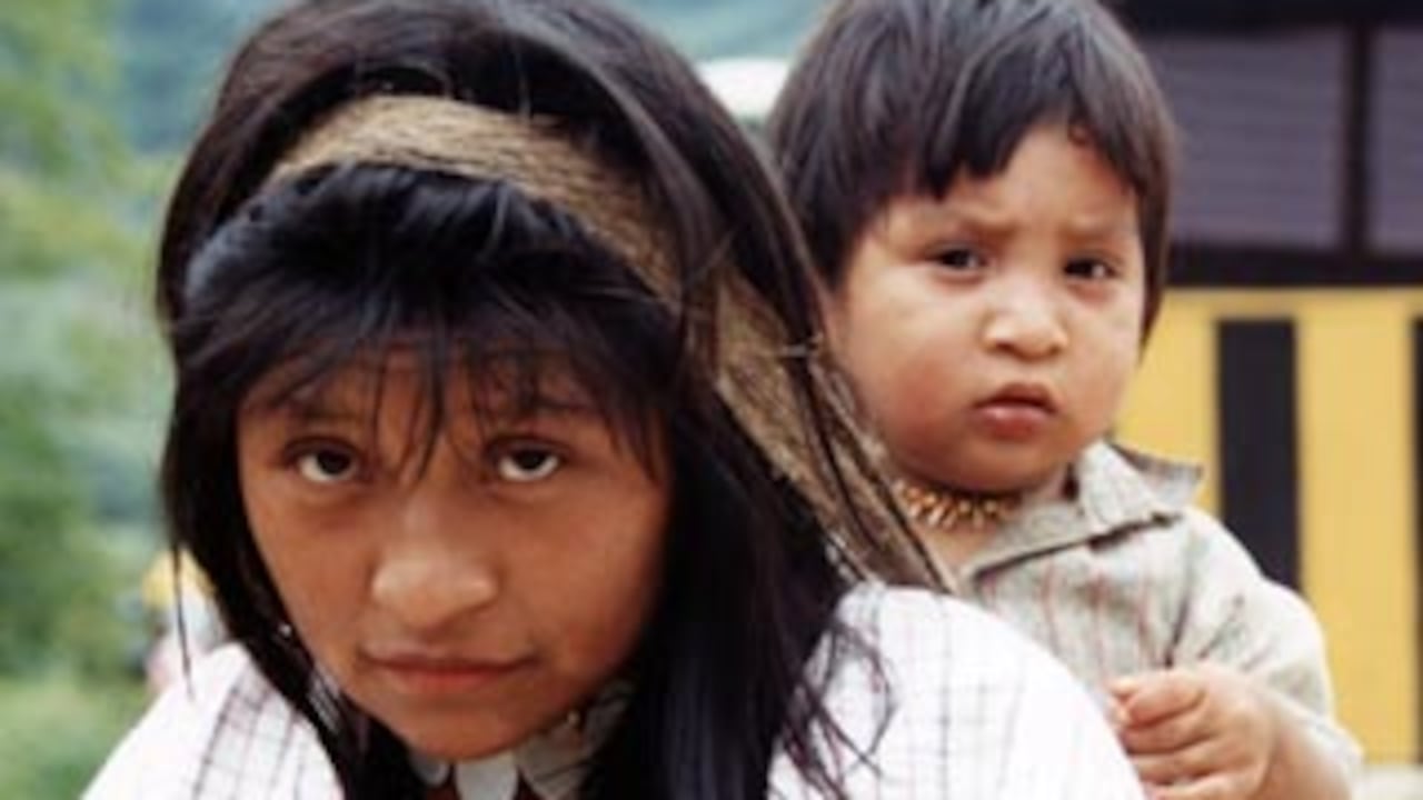 "Los u’wa son una expresión de esa maravillosa diversidad étnica que todavía tiene Colombia para aportar al mundo, y que se expresa en 87 grupos étnicos indígenas diferentes. Son un pueblo conformado por unas 6.000 personas, distribuidas en 22 comunidades."