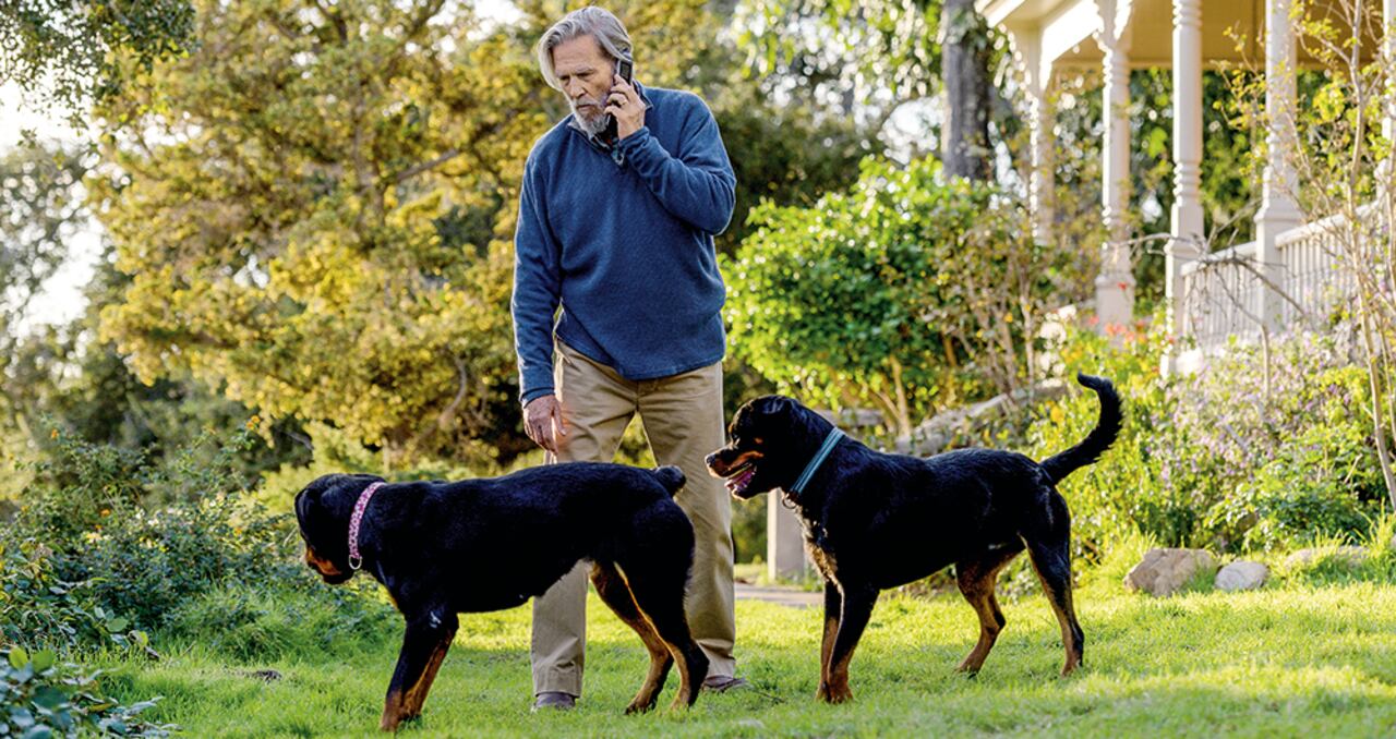 El debut en la pantalla chica de este ícono de Hollywood (modelo 1949) se da en una serie cerebral, de mecha lenta, pero también de golpes, en la que el pasado de su personaje como agente de la CIA no lo suelta. Sus fieles amigos, un par de perros que van de lo tierno a lo muy feroz en segundos.