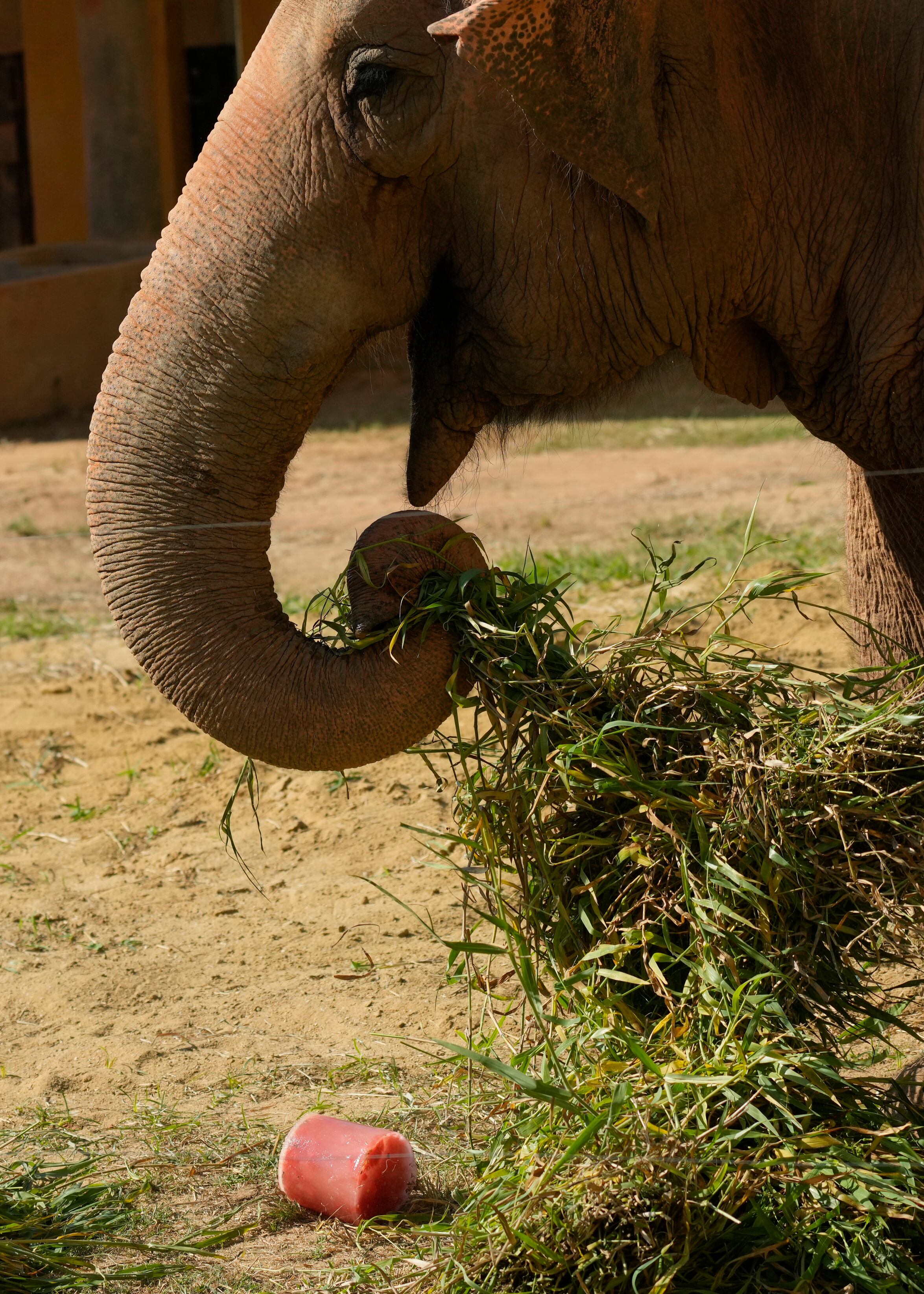 Las temperaturas superarán los 40 °C (104 °F) en el estado de Sao Paulo y en las regiones centro-oeste y norte, según el Instituto Nacional de Meteorología.