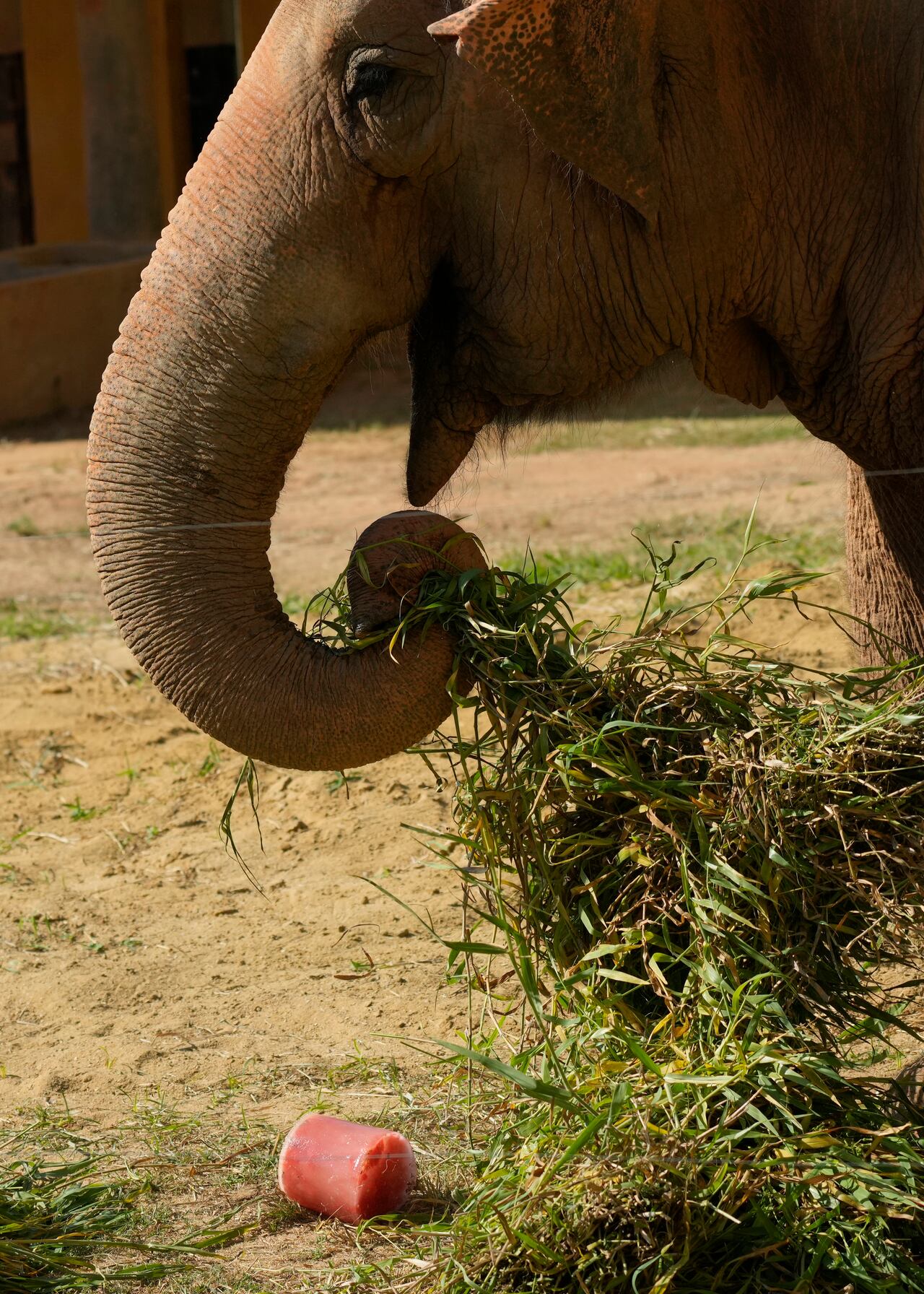 Las temperaturas superarán los 40 °C (104 °F) en el estado de Sao Paulo y en las regiones centro-oeste y norte, según el Instituto Nacional de Meteorología.