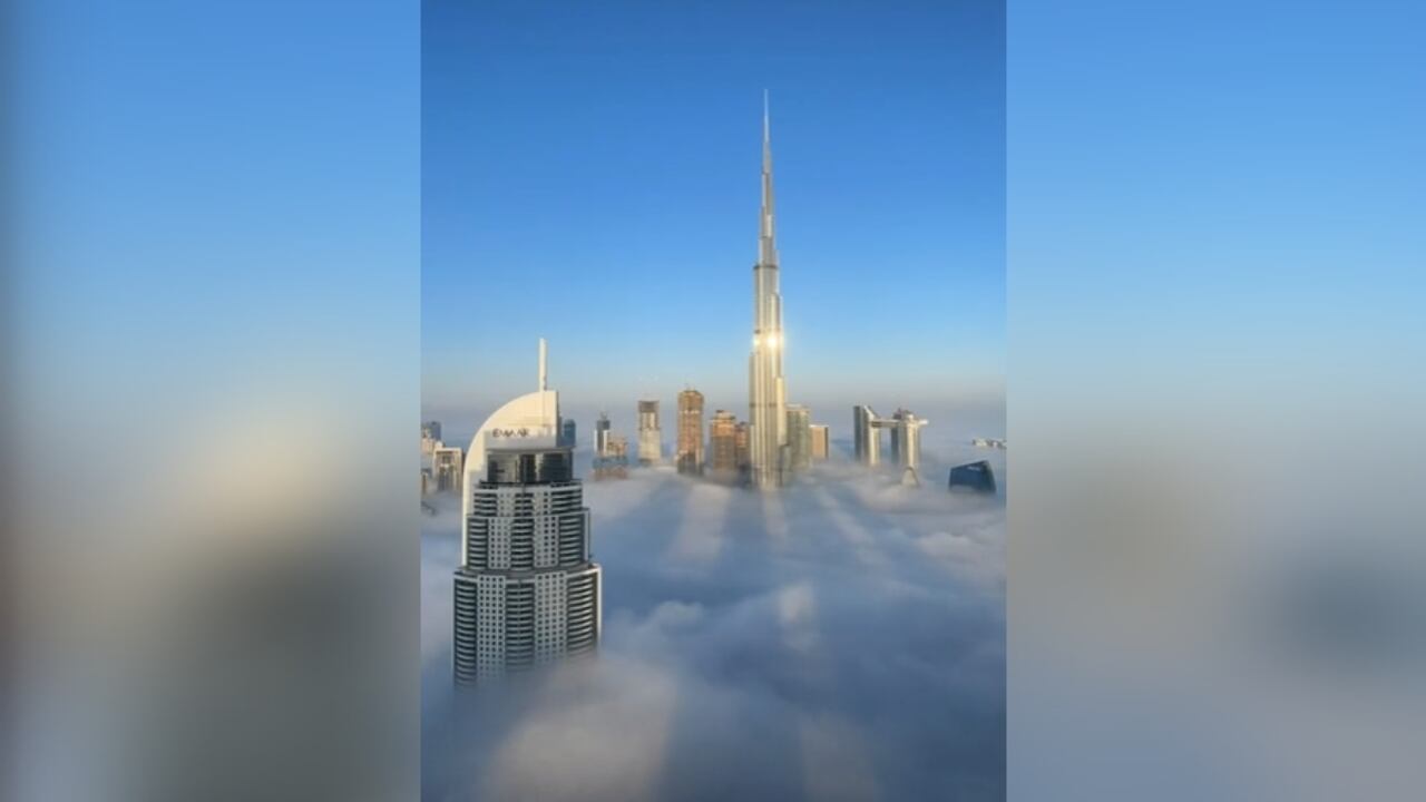 Tik Tok: @eliefeghaly7