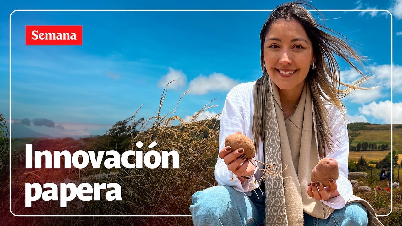 El programa ‘Buena Onda, Negocios que Transforman’ de Nutresa involucra a cientos de hombres y mujeres que creen en el campo como propulsor del futuro del país.