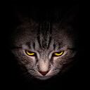 Los gatos ha sido con frecuencia compañeros de los escritores. Se han tomado los relatos de Cortázar y Capote.