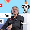 Alimentación saludable | Enrique Vallejo en Salud Animal
