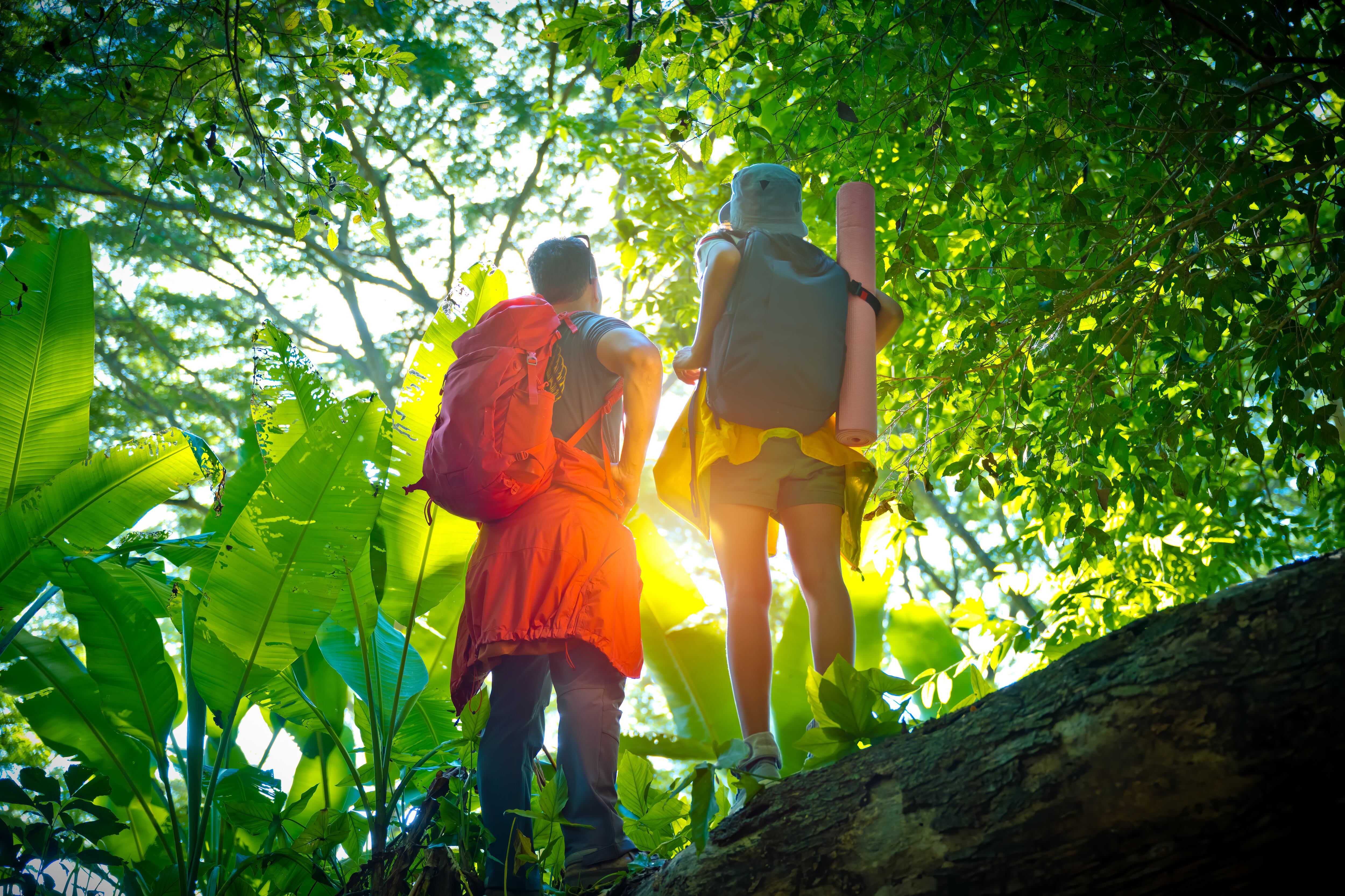 Caminatas ecológicas