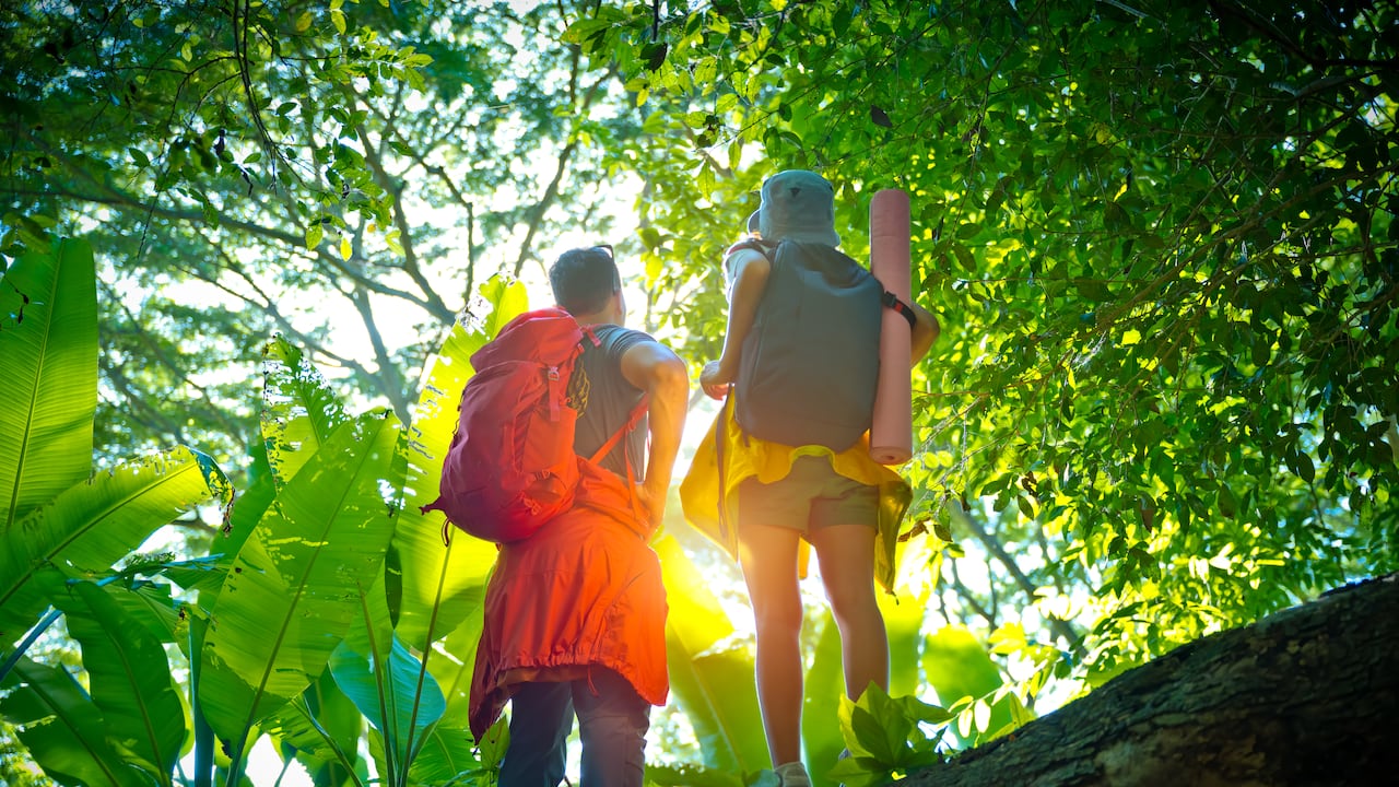 Estas actividades se pueden realizar en distintos puntos de la ciudad.