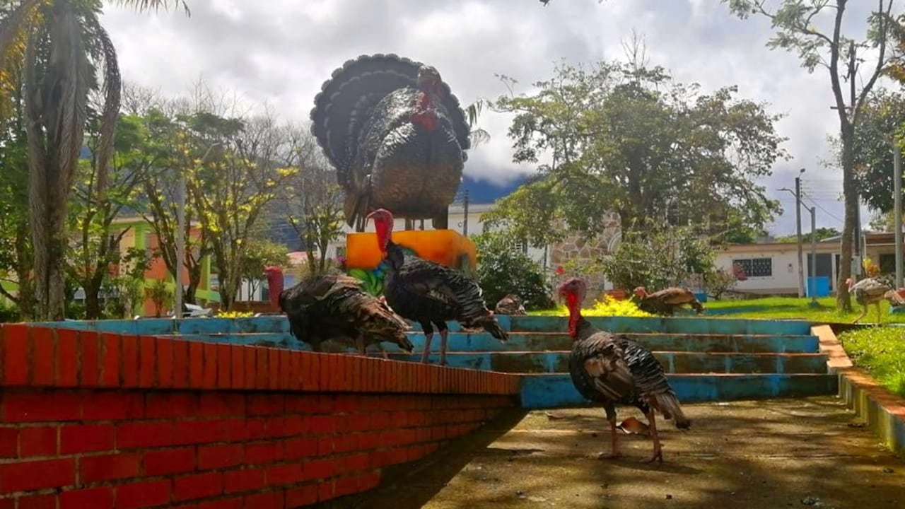 Al llegar a este destino es posible disfrutar un acogedor paisaje.