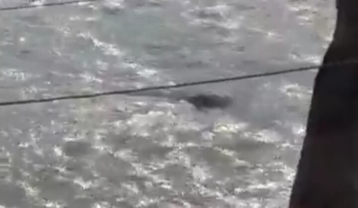 Ya van tres casos en el transcurso de esta semana.