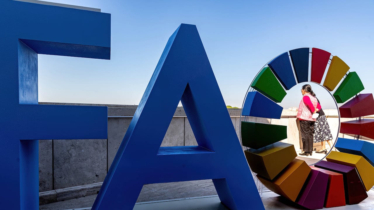 La FAO alertó que el bloqueo del estrecho de Ormuz amenaza el comercio mundial de energía y alimentos.