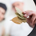 Descifrando la Tradición: El enigma detrás de llevar una hoja de laurel en la billetera