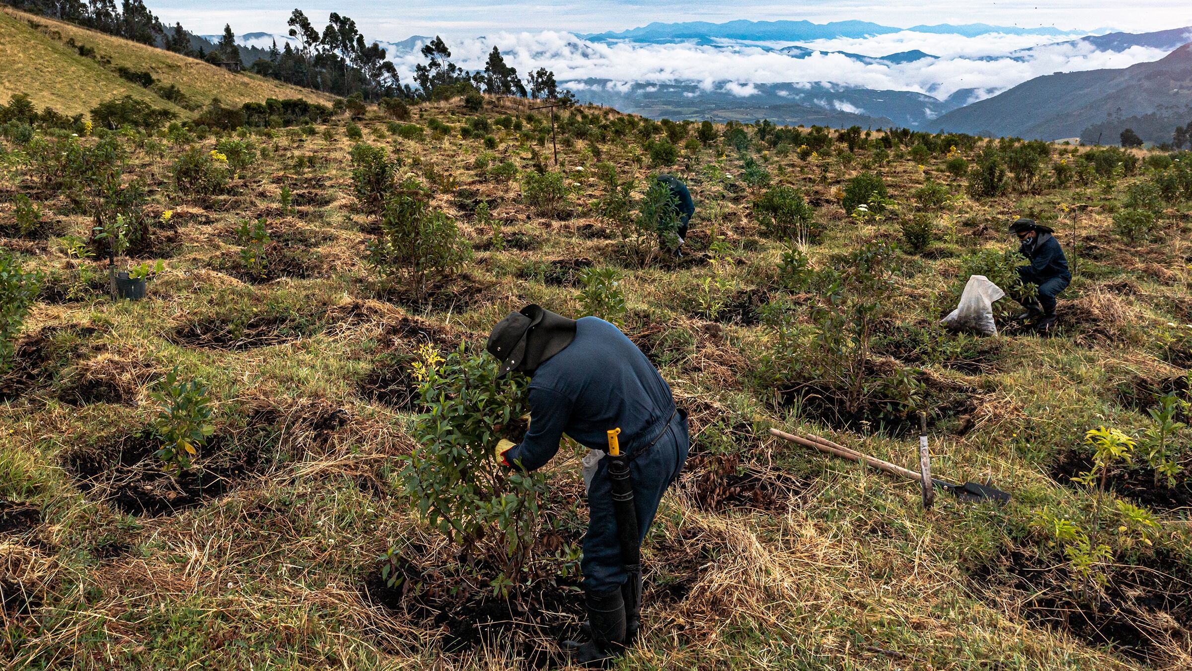 Sacyr es líder en sostenibilidad del sector de infraestructura en España y sexto del mundo.