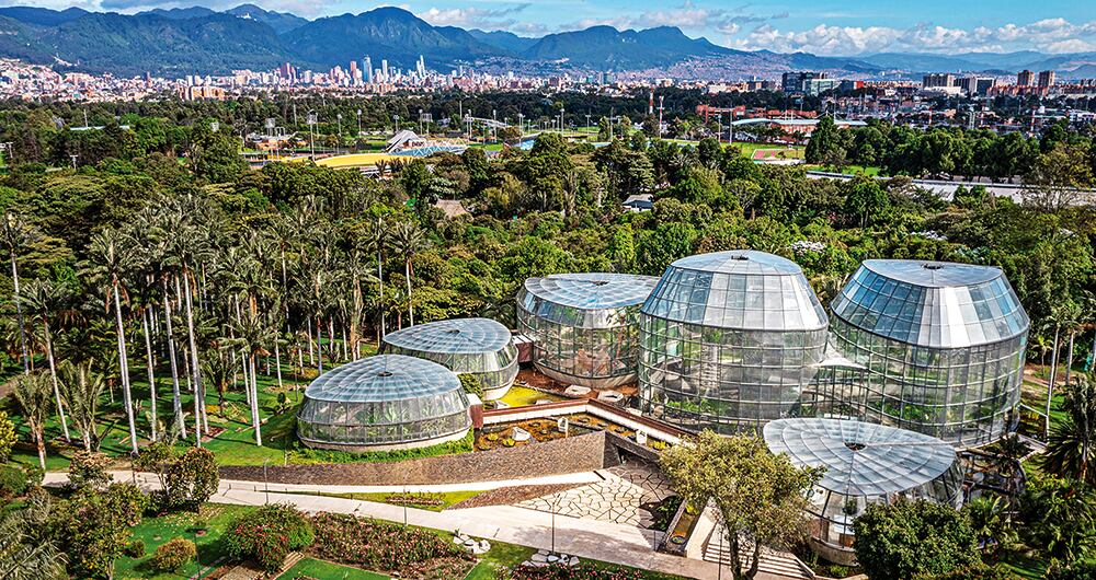 “Hemos sembrado más de 650.000 árboles desde 1998. Bogotá tiene 1,4 millones en el espacio público”.
