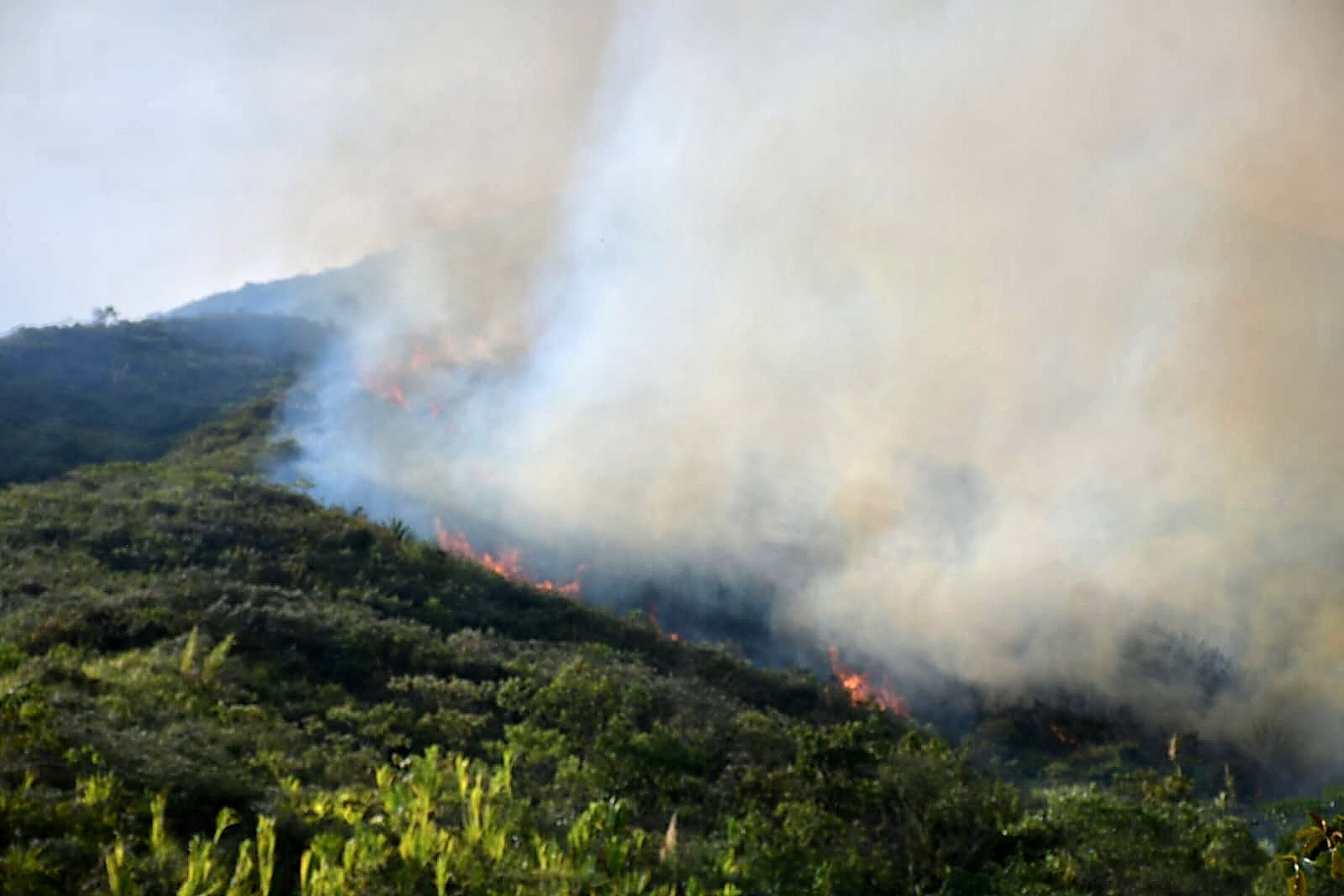 30 unidades bomberiles atienden nuevo incendio forestal al oeste de Cali. Foto Raúl Palacios